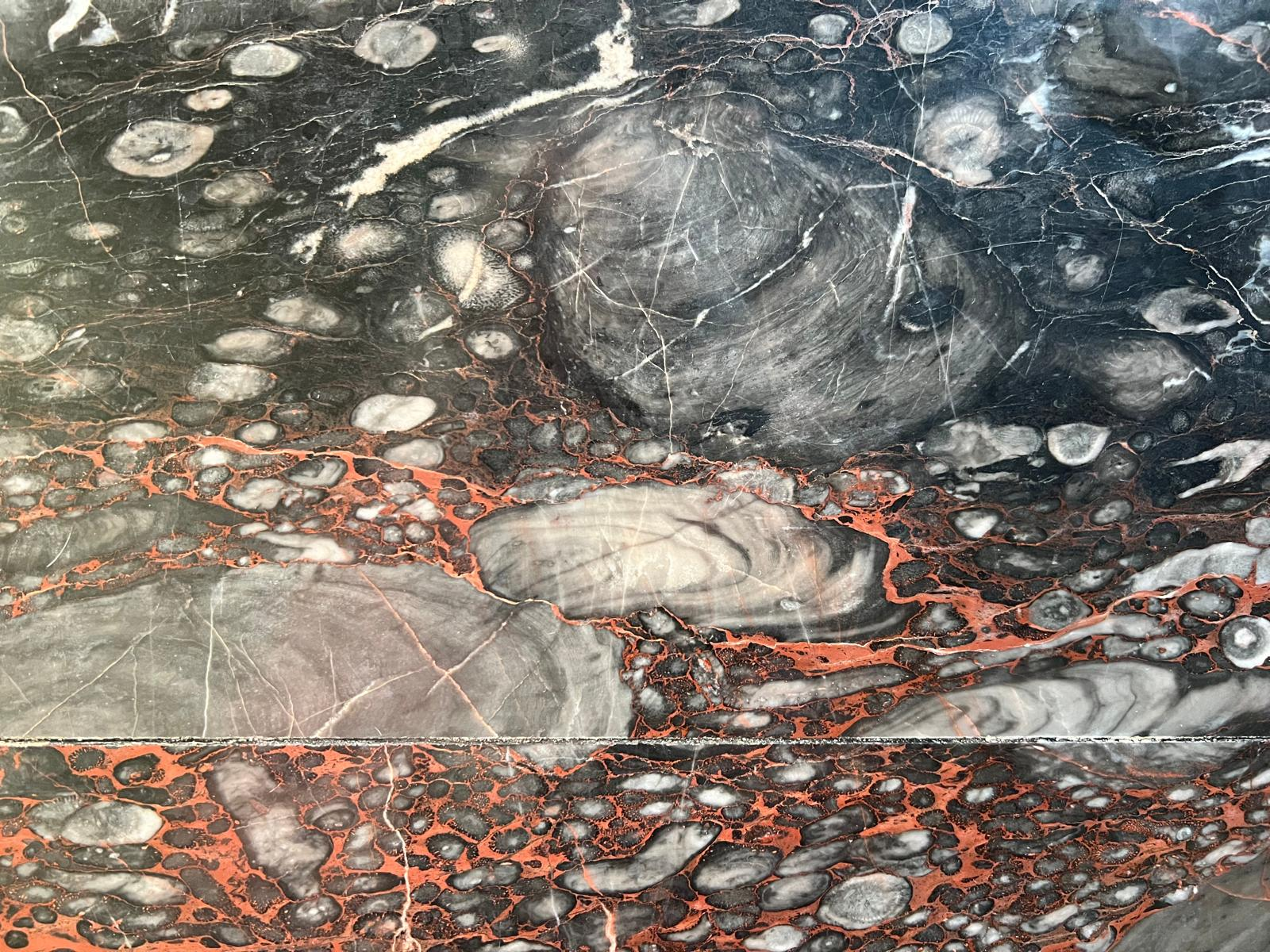 Polished dark marble in the museum, packed with grey fossil shells and veined with red.